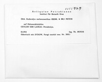 Image Associated With the Occurrence